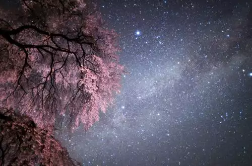 3、射手座运势(10月10日) - 星座运势- 科技星座网