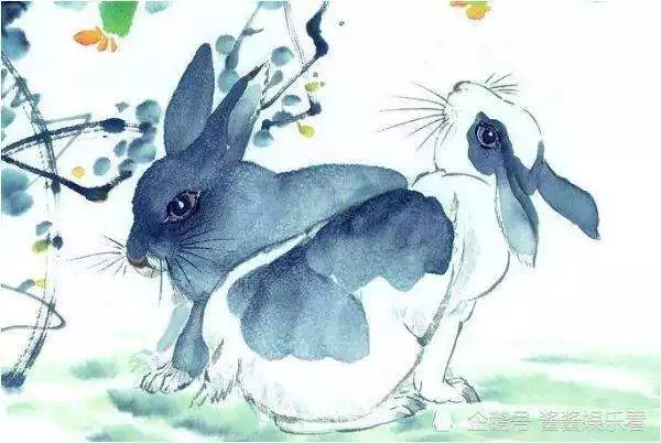 5年屬兔的今年有血光之災，2022