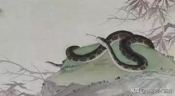 屬蛇的今年財運如何，屬蛇人今年的運氣財運