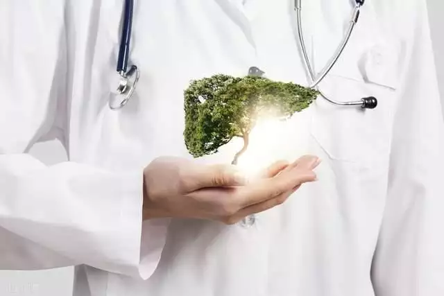 肝不好怎麼調理效果更好，肝火旺濕氣重怎麼調理