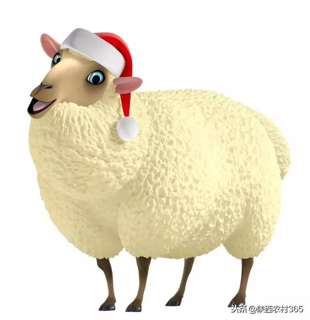 屬羊屬馬早晚會離婚視頻,屬馬女與屬羊男婚姻配