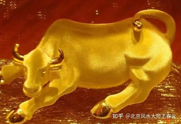 5、属牛人一周运势:属牛人运气