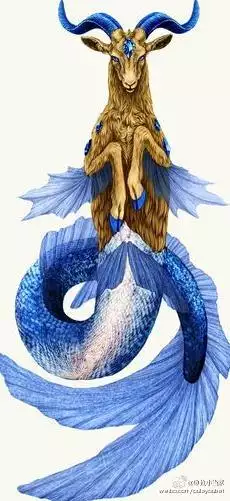 1、陶白白星座分析摩羯座运势:关于摩羯座（天空中的哦，不是星座分析）