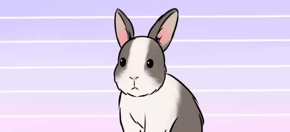 5、婚姻属相到底准不准:婚姻讲究生肖属相是真的可信吗？