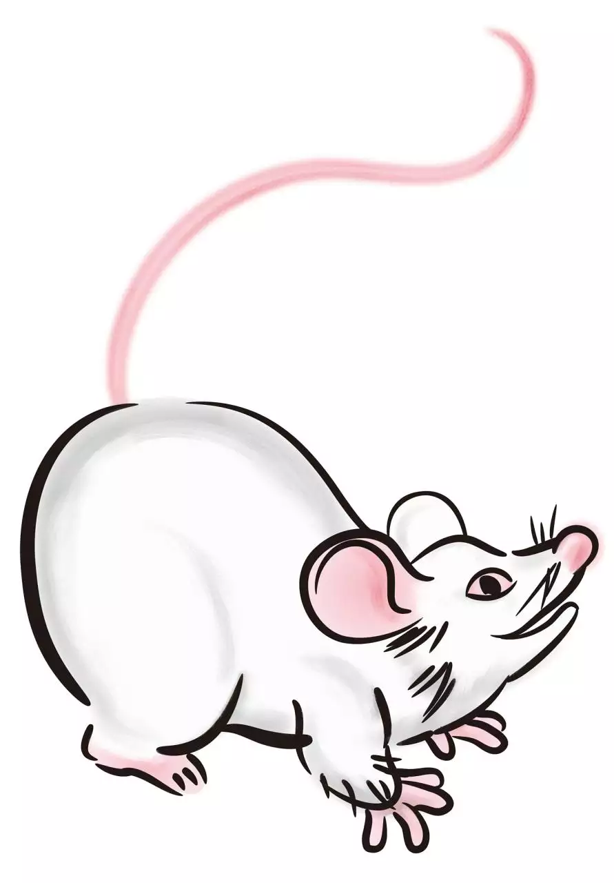 屬鼠上等命的出生時辰 屬鼠出生最好六個吉日