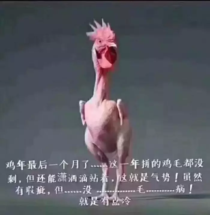 3、披星戴月缺三餐是什么属相:女生给男披星戴月是什么意思？