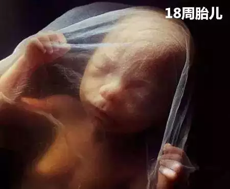 4、男人會忘記為她墮胎的女人嗎，是不是心裏永遠覺得自己對不起她？