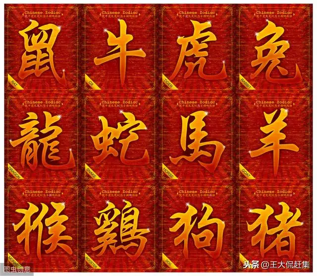006年屬狗是什麼命，2006年屬狗"
