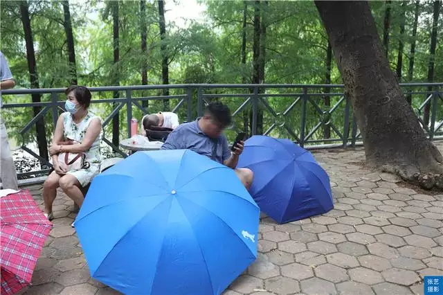 北京哪個公園有相親活動，北京菖蒲河公園相親