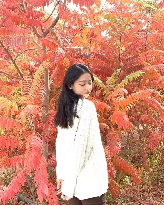 喜歡強勢女人的生肖男，哪些生肖男喜歡強勢的女友