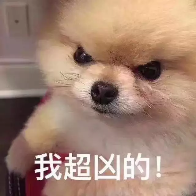 牛馬真的不能在一起嗎，牛和馬能不能在一起共事