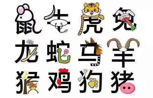 5、十二生肖运势可信吗:生肖预测运势可信吗
