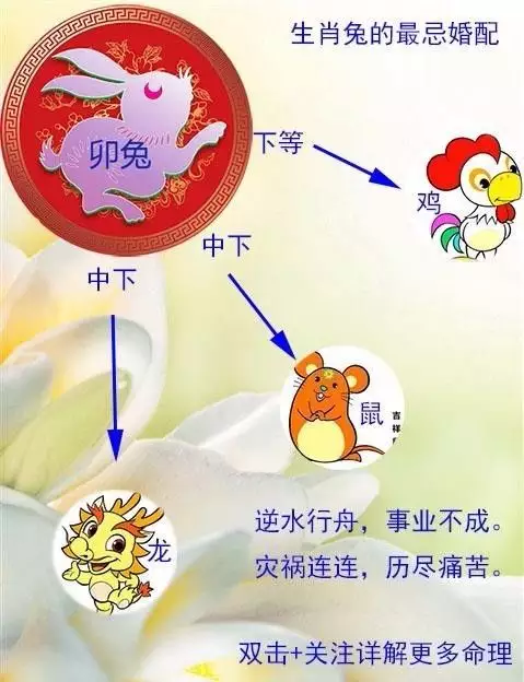 3、跟孩子属相相克怎么办:属羊的子女和什么属相父母犯冲