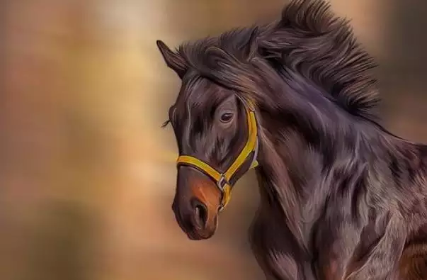 属马的过了31岁会富贵吗，1990属马三劫难