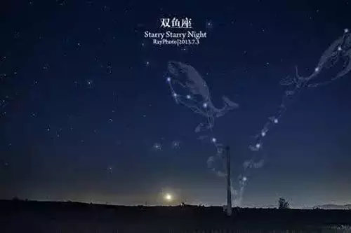 6、双鱼座明日运势最准:双鱼座一生运势