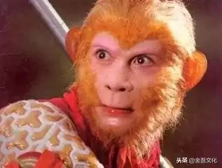 屬猴的今年運勢，屬猴的今年運勢怎麼樣