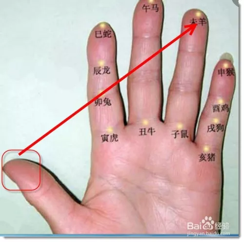 3、一说生肖就能算出年龄:用十二生肖怎么计算年龄