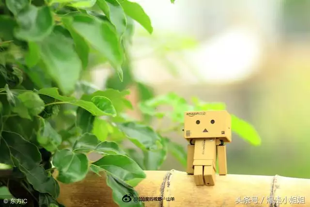 980猴的大运之年，属猴40岁后有十年大运"