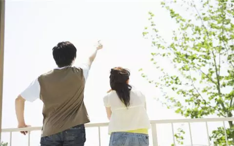 4、鸡狗八字有合的吗:属鸡和属狗的合不合