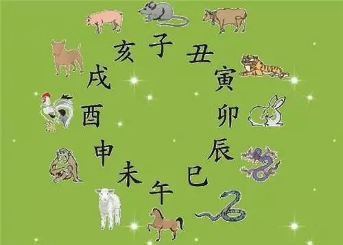 1、相同属相的人是否命运都一样:人的属相与命运有很大关系吗
