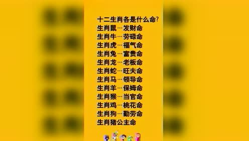 1、十二生肖15年运势:十二生肖哪些运势