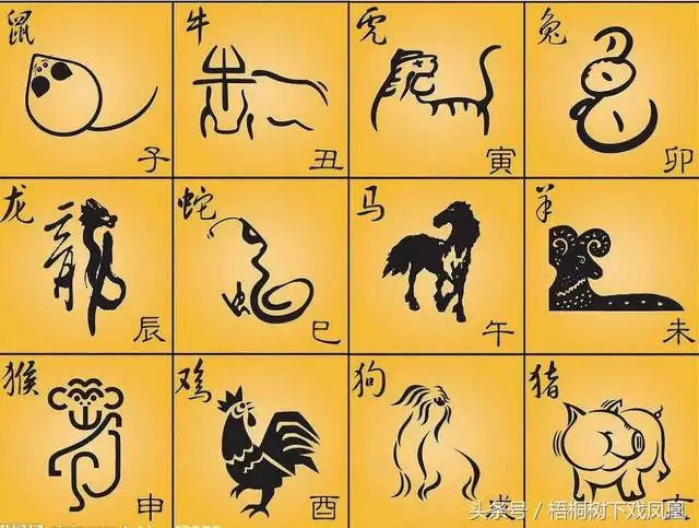 屬龍幾月出生是真龍，屬龍陰曆幾月出生好