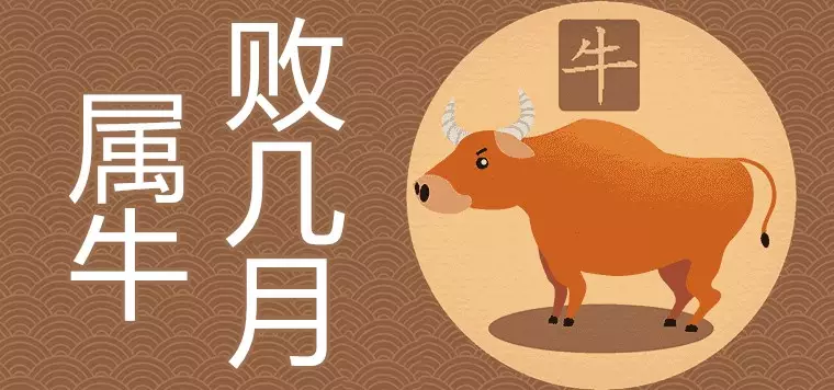 2、屬牛女哪個月最有福氣:屬牛的大利月幾月