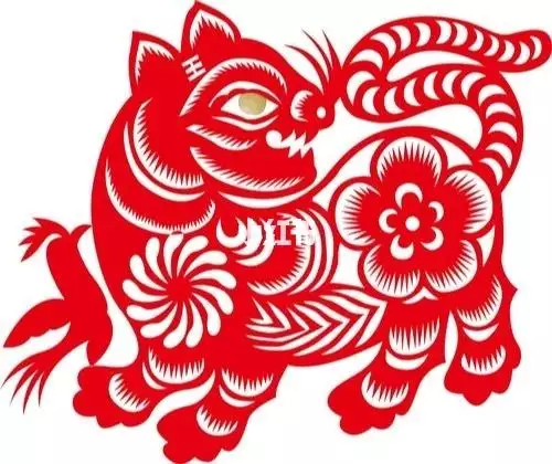 4年属虎女今天运势，1974属虎人2022