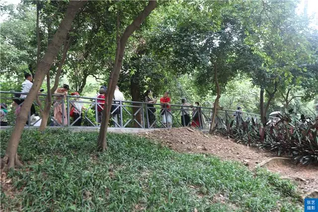 北京哪個公園有相親活動，北京菖蒲河公園相親