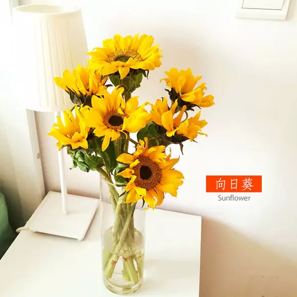 向日葵情侣头像两张：关于向日葵蓝色的一男一女的情侣头像