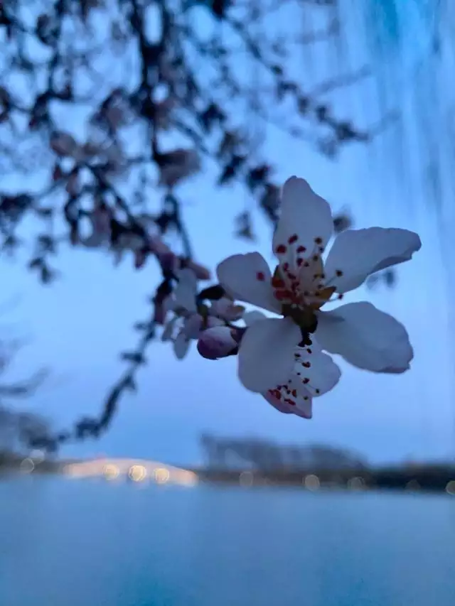 北京哪個公園相親更好，鄭州人民公園相親地點