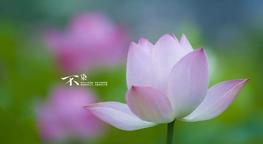 965年生的今年的運勢怎麼樣，65年屬蛇男2022