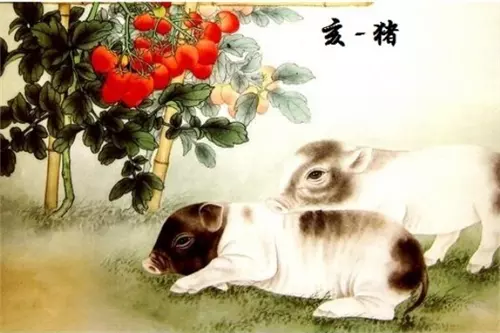 2、属猪的女人年运势:年属猪女在年的运势