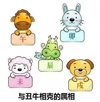 2、属龙牛的和什么属相最配相克:属相龙和牛相克吗