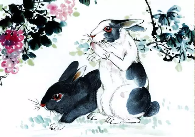 986属虎人终身的三大坎，1986年属虎是什么命女"