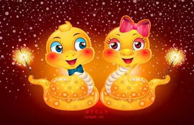 022年屬蛇人的全年運勢女,2022