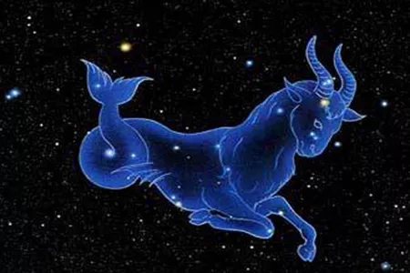 3、把摩羯座吃得死死的星座:摩羯座最容易對哪個星座情根深種？