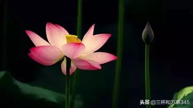 0年属猴42岁会有什么大劫，1980猴的大运之年"