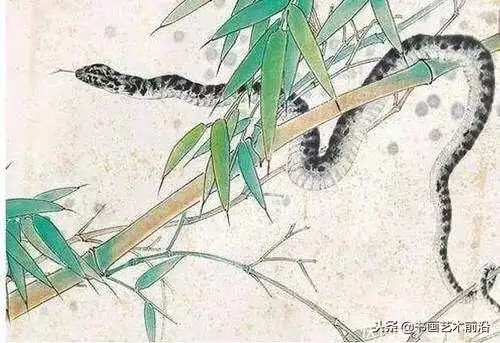 屬蛇的今年財運如何，屬蛇人今年的運氣財運