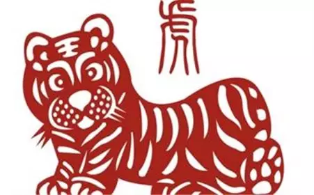 4、適合屬虎人微信昵稱:屬虎微信網名叫什麼好呢