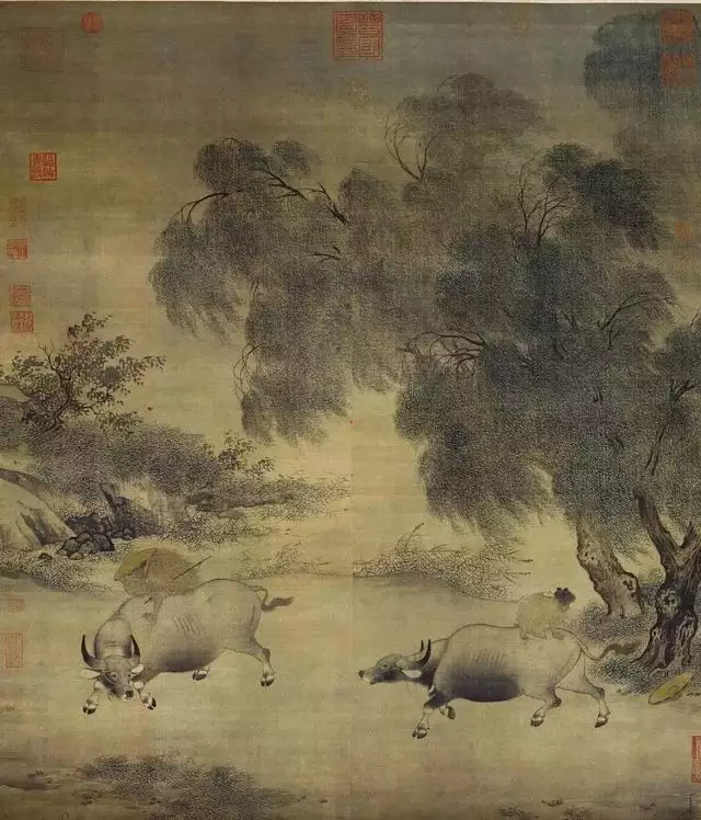 022年是60年一遇的虎宝宝，为什么家里要有大属相"