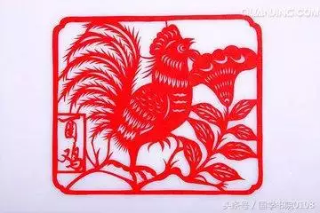 屬龍女的命運和婚姻，屬龍女幾月出生命更好