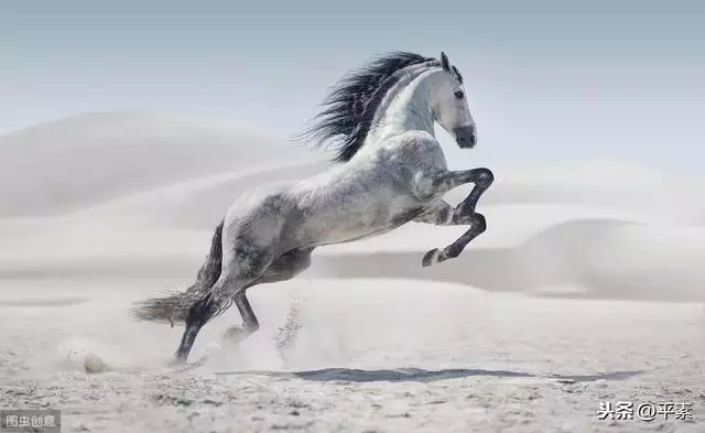 戊寅年出生的人