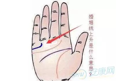 1、婚姻線斷了又連起來:感情不順，婚姻線太長 又斷了，後面又續了，25歲女，求指點