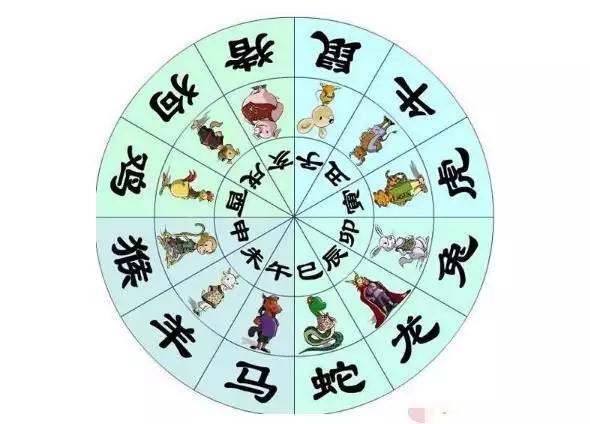 2、出生年月日看命运:出生年月日看命运年11月20日