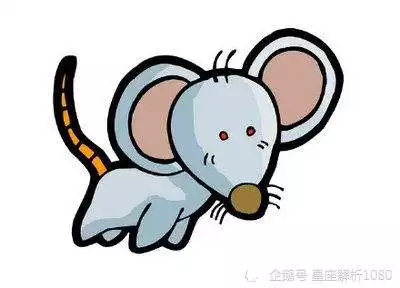 022年生肖鼠運程，2022