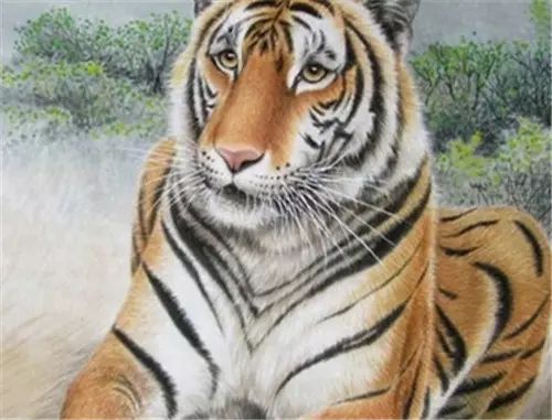 1、属虎的婚配:属虎的配对属相是什么?