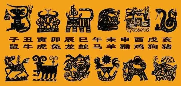 5、12生肖真实图片:谁有12生肖的图片啊,要比较真实的