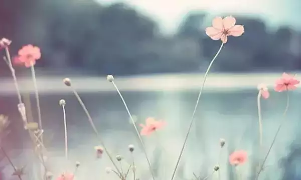 1、测试你与他缘分有多深:塔罗占卜你和他缘分有多深