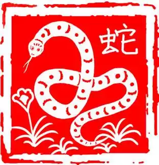 022年屬蛇人的全年每月運勢，屬蛇1965年2022年運勢及運程"